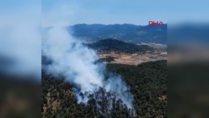 Balıkesir’in Sındırgı ilçesinde orman yangını