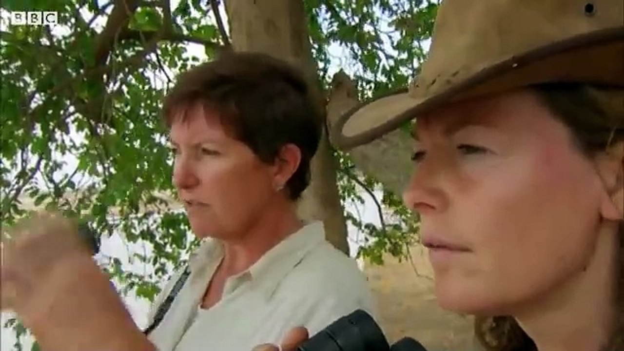 Top 5 Killer Crocodile Moments _ BBC Earth