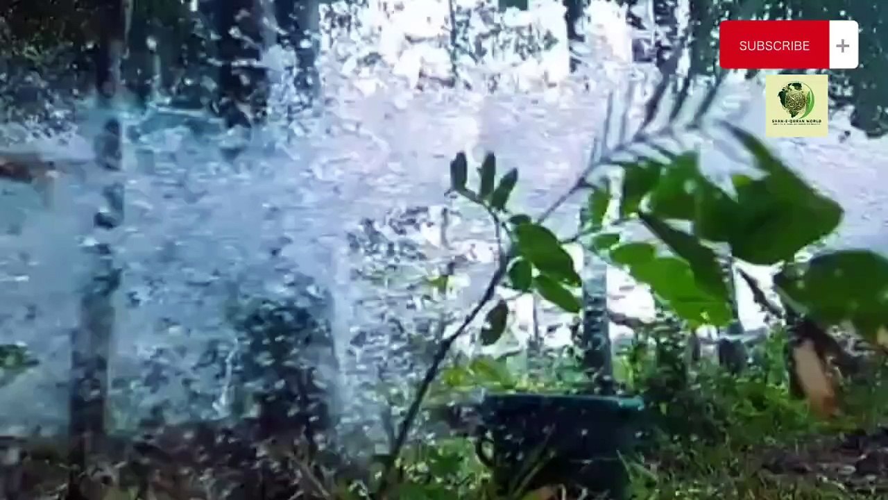 Sahih Bukhari Hadees No. 256 257 259 265 | Hadees Nabvi in Urdu | Shan E Quran world