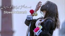 We Phar Meri Baan Mahiya Shafaullah Khan Rokhri New Song -Slowed-Reverb-2023