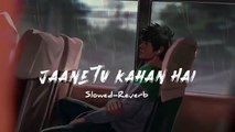 Jaane tu kahan Hai Slowed-Reverb Lofi