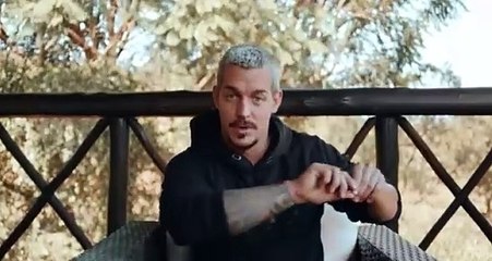 A Lions Wild Life - Dean Schneider