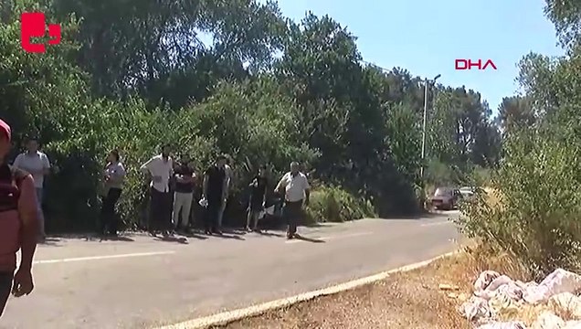 İzmir'in Menderes ilçesinde orman yangını