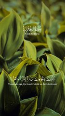 الَّذِينَ يَقُولُونَ رَبَّنَا إِنَّنَا ءَامَنَا