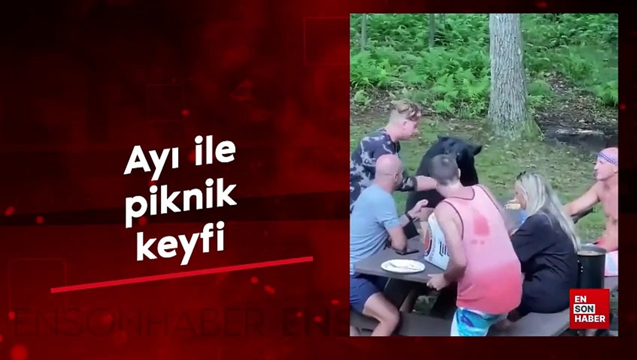 Ayı ile piknik keyfi