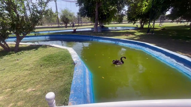Safari Zoo lahore Visit | Safari Park Lahore | Safari Park lahore latest visit