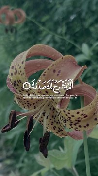 Suratun_nashar beautiful quran recitation Masha Allah ☝️❤️