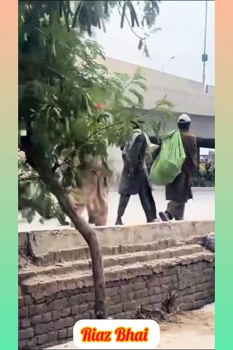 Viral video