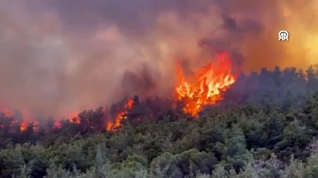 Ormanlık alanda çıkan yangına müdahale ediliyor