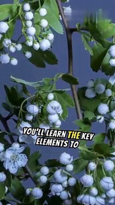 Issues between relationships