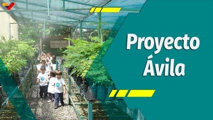 Punto Verde | “Proyecto Ávila” iniciativa conservacionista para salvar la naturaleza