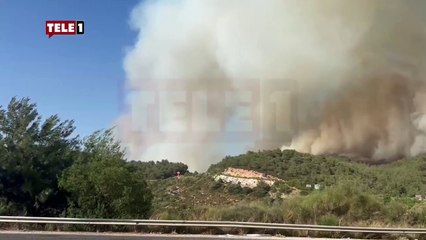 İzmir’de orman yangını! Alevler Kuşadası’na ulaştı