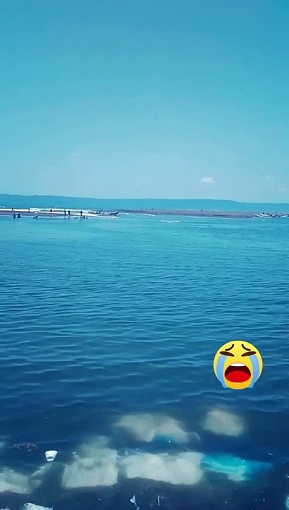Pàntai cemara yang eksotik