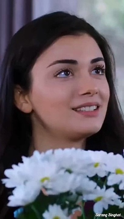 Couple video