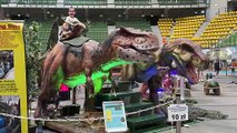 Dino Expo Show w Zielonej Górze