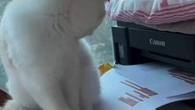 Takot ka no??! 
