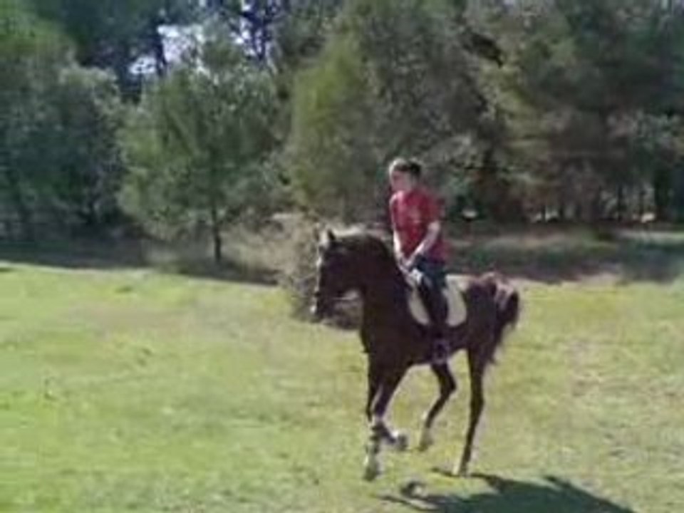Noureiev et moi
