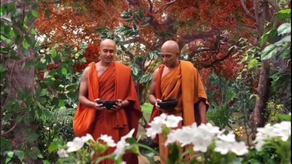 Buddha 13. Đức Phật thành lập Ni tăng