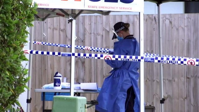 Woman dead after alleged domestic violence-related stabbing near Innifail, police charge man with murder