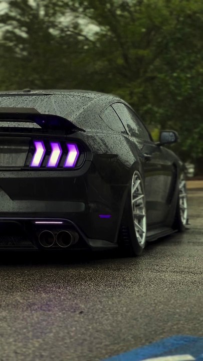 Car video