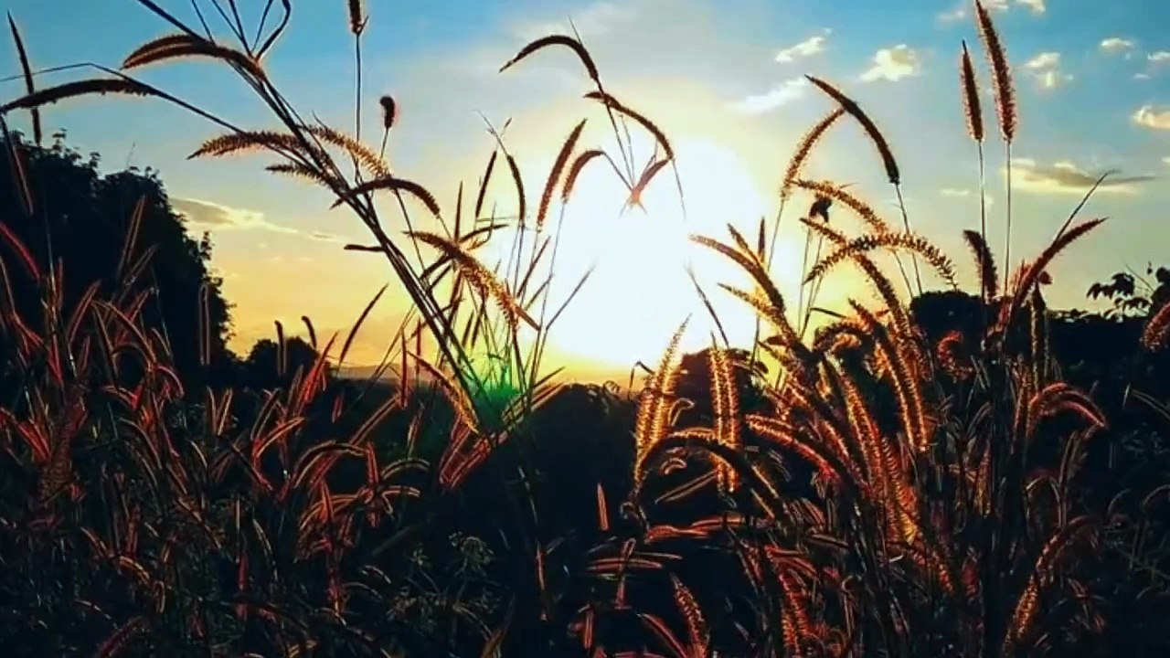 Vô cùng hồi hận khi yêu em - Nhạc Hoa lời Việt