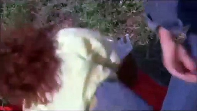 Douce nuit, sanglante nuit Bande-annonce (DE)