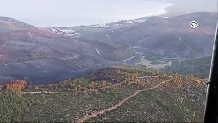 İzmir'deki orman yangınına havadan müdahale sabah saatlerinde yeniden başlatıldı