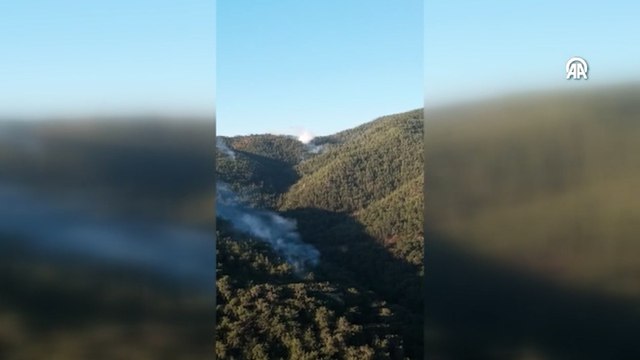 İzmir'deki orman yangınına havadan müdahale sabah saatlerinde yeniden başlatıldı