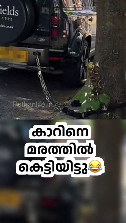 കാറിനെ മരത്തിൽ കെട്ടിയിട്ടു  car chained to a tree in london | Viral News Today