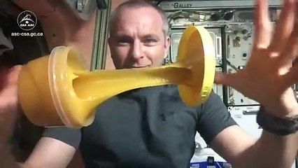 What Honey Looks like in space?