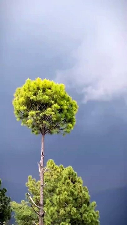 Kashmir enjoy