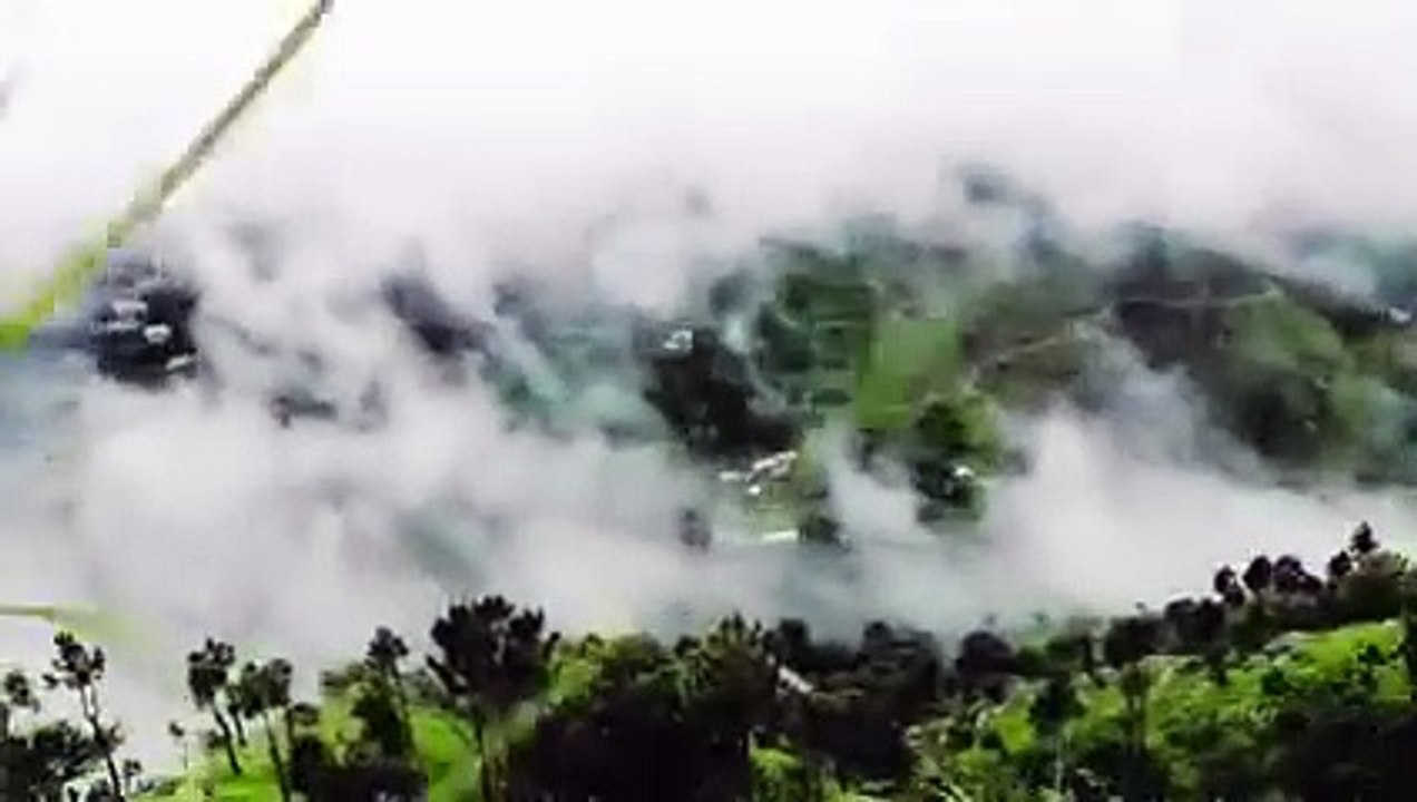 FB_VID_9106181008974747471