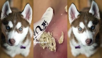 Año nuevo chino​​ vacaciones de belleza (2)