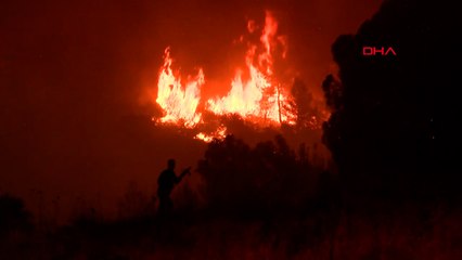 İzmir'in Selçuk ilçesinde orman yangını