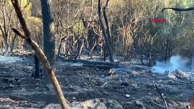 Pamucak'ta çıkan orman yangını; gündüz görüntüleriyle