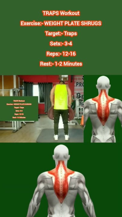 ❌ WEIGHT PLATE SHRUGS ✔️  What's the best exercise for TRAPS?  #heermlgangaputra #naturalbodybuilding #workout #fitness #gym #muscle #training #tips