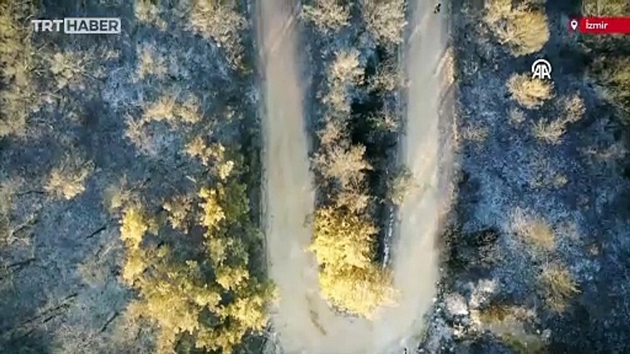 İzmir'de orman yangınında zarar gören alanlar havadan görüntülendi