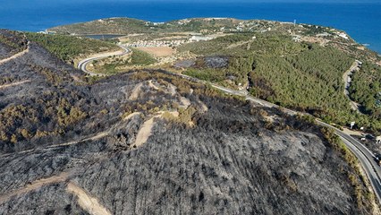 İzmir Selçuk'taki yangında zarar gören ormanlık alanın havadan görüntüsü yürek burktu