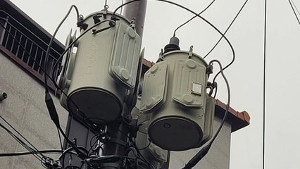 경남 창원에서 나무 쓰러져 9백 가구 정전 / YTN