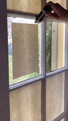 Nettoyage après peinture