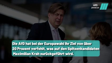 Ende des Krah-Aufstands ? Einigung mit Höcke und der AfD Spitze
