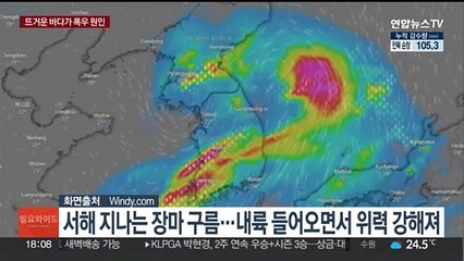 초반부터 매서운 올여름 장마…뜨거운 바다가 원인