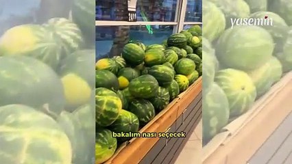 Yapay zekaya karpuz seçtirdi sosyal medyayı salladı