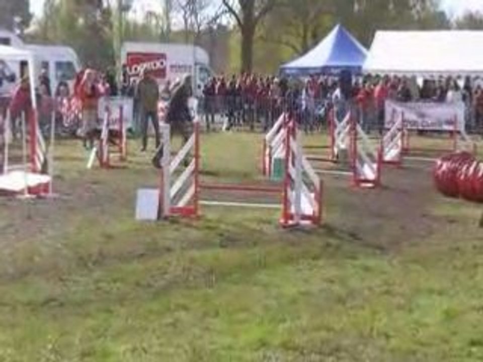 Andy-jump
