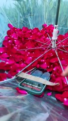 Amazing tutorial with umbrella and roses ☂️ Who want to see the result? Było pięknie 