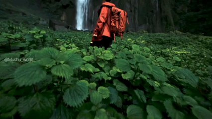 the beautiful waterfall and relaxable place and god art green