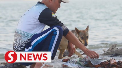 Record collection of rubbish on island in Penang, a dozen dogs found too