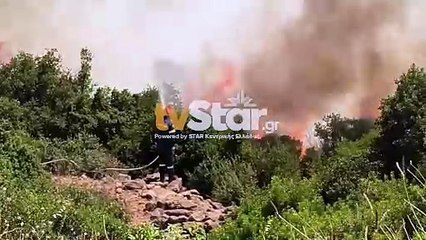 Φωτιά στην Καμηλόβρυση Λαμίας - Επίγειες και εναέριες δυνάμεις επιχειρούν στο σημείο