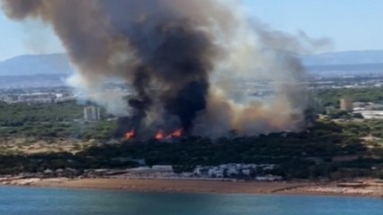 Antalya'da Lara bölgesindeki ormanlık alanda yangın