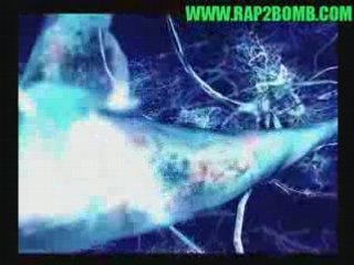 Nessbeal Roi Sans Couronne Le Clip